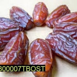 Mashroom Standard Dates