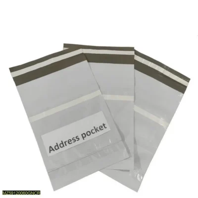 Flyer Bag - 6 By 11 Inch With 2 Inch Transparent Flap