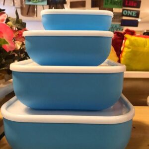 Food Storage Lunch Box, Pack of 4