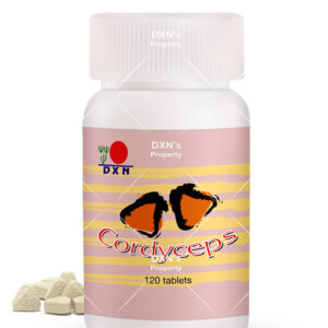 cordyceps tablets