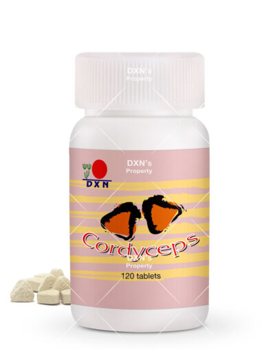 cordyceps tablets