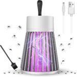 Electric Mosquito Killing Lamp